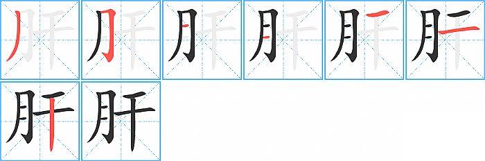 肝的笔顺笔画顺序写法图片演示