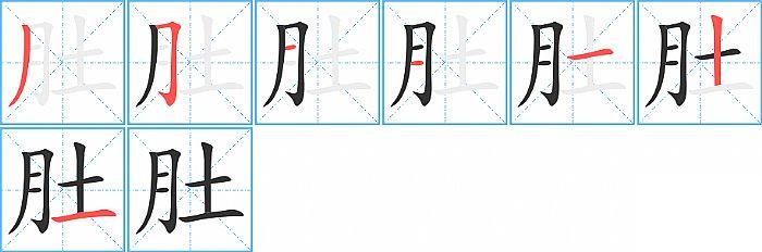 肚的笔顺笔画顺序写法图片演示